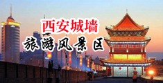 逼逼痒不痒今晚插插你中国陕西-西安城墙旅游风景区